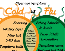 Flu Season Infographic